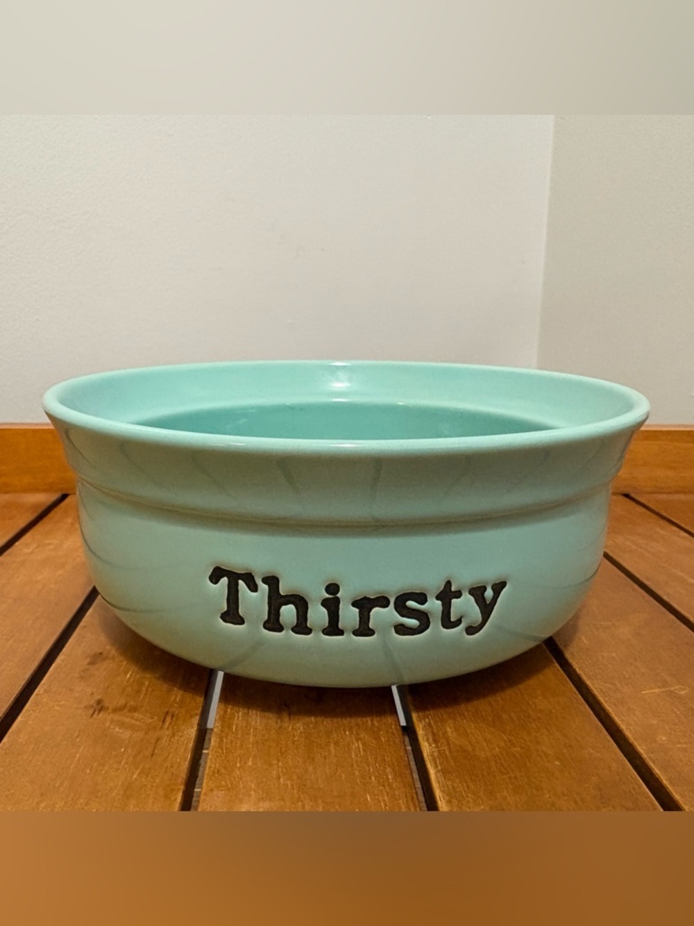 ⭐️Free With Any Purchase⭐️Thirsty Aqua Ceramic Pet Bowl
